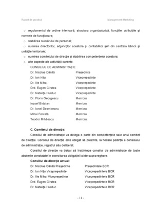 Raport De Practica Bcr Proiecte Ro