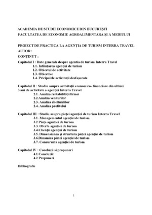 Practica Agentia Interra Proiecte Ro