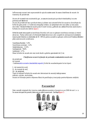 Pag 2