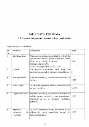 Business plan fabrica de peleti 04 image