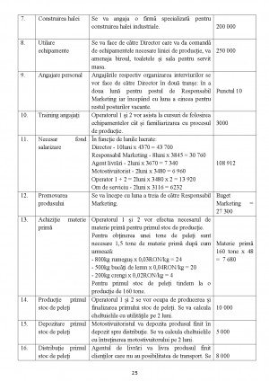 Business plan fabrica de peleti 02 picture
