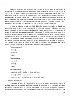 Pag 13